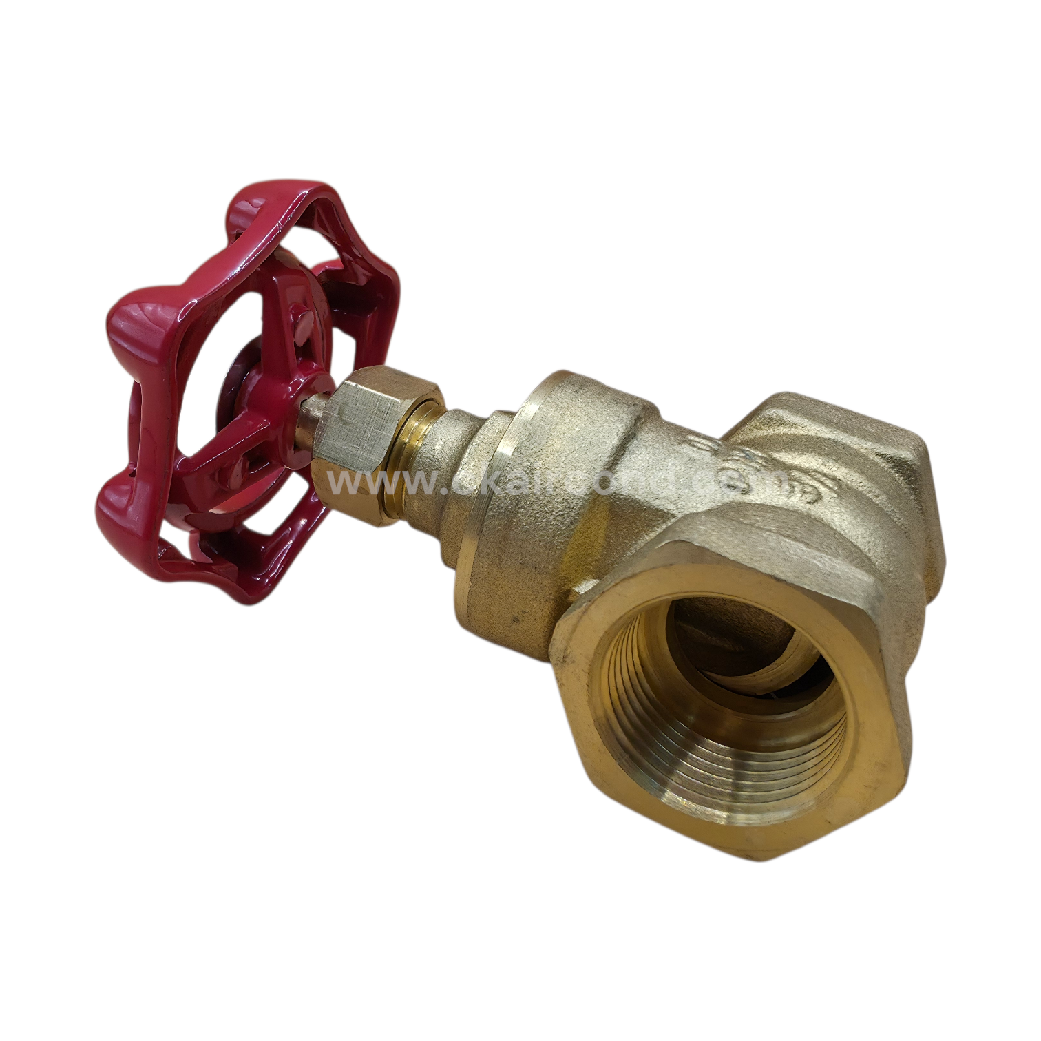 เกตวาล์ว "TOZEN" ประตูน้ำทองเหลือง (D-BGV) Brass Gate Valve - Image 3