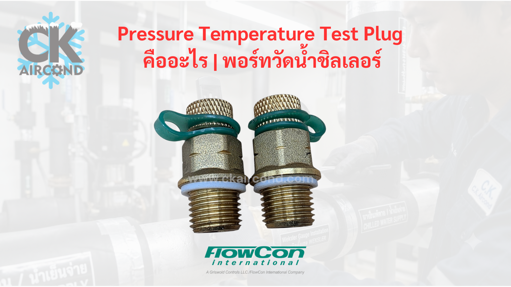 pressure temperature test plug