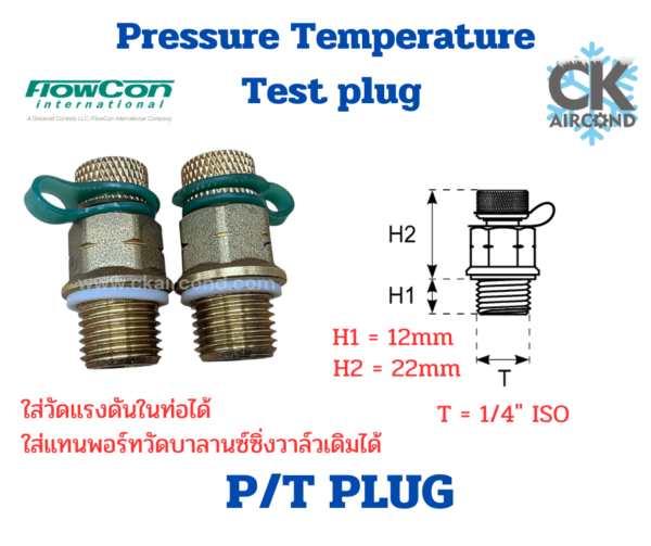 P/T test plug